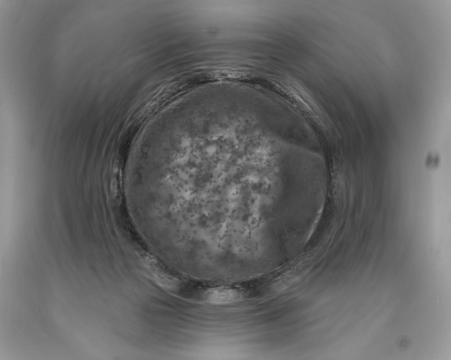 X0000093470169200710261051