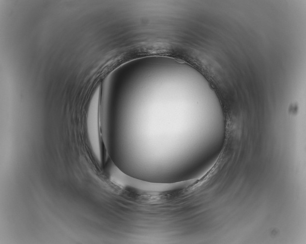 X0000093470170200710261051