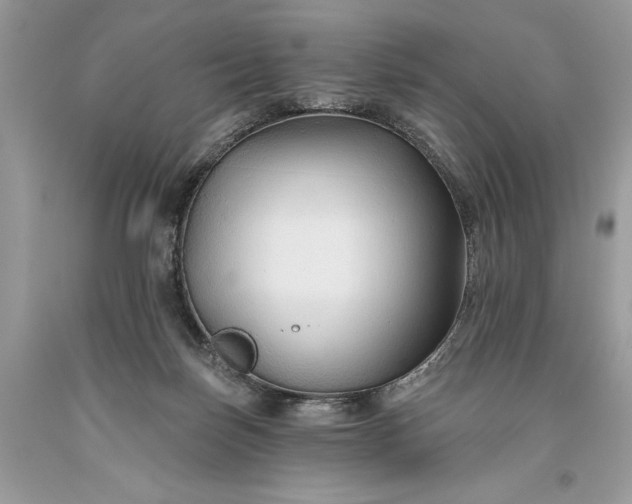 X0000093470171200710261051