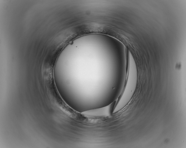 X0000093470172200710261051