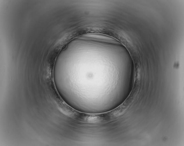 X0000093470173200710261051