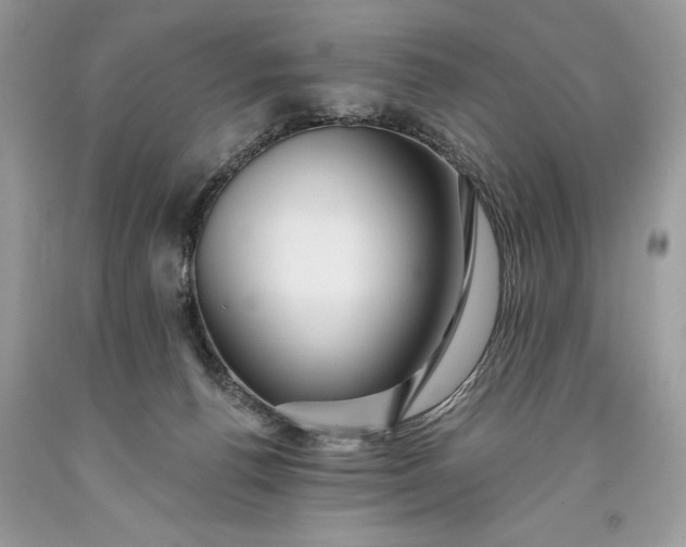 X0000093470176200710261051