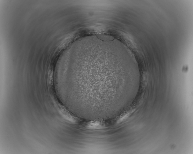 X0000093470177200710261051