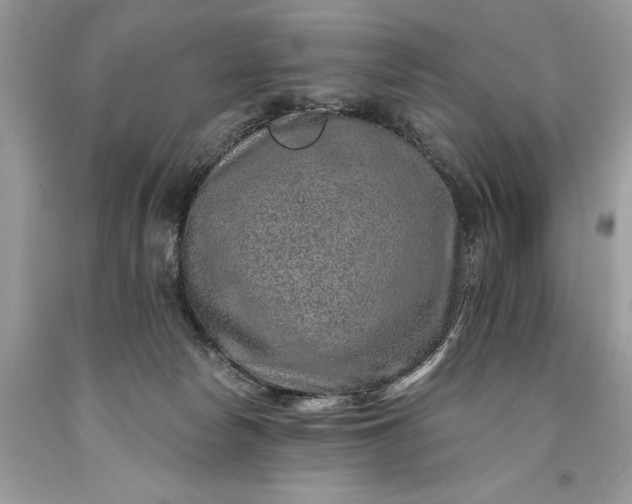 X0000093470178200710261051