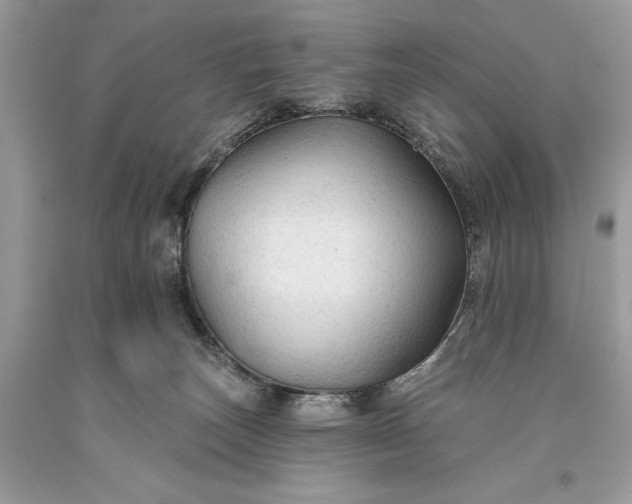 X0000093470179200710261051