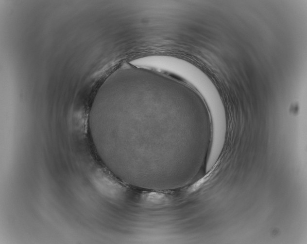 X0000093470180200710261051