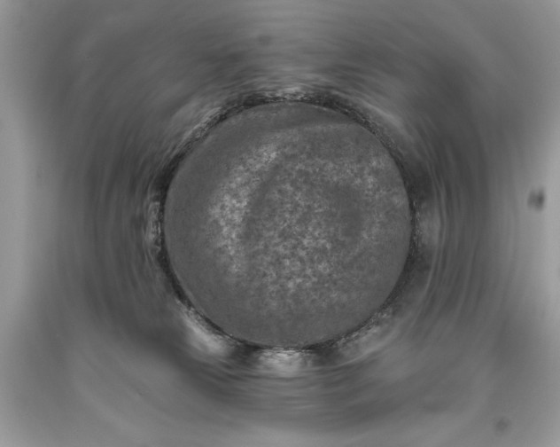 X0000093470181200710261051