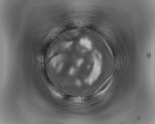 X0000093470182200710261051