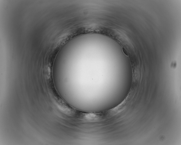 X0000093470183200710261051