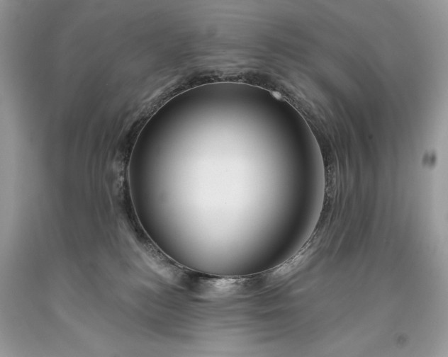 X0000093470184200710261051