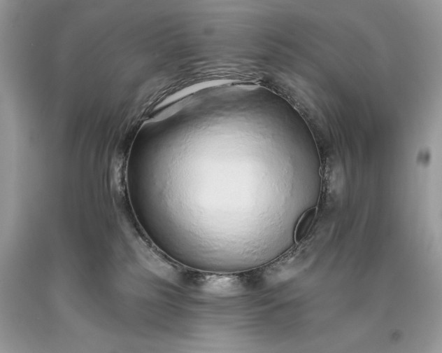 X0000093470185200710261051