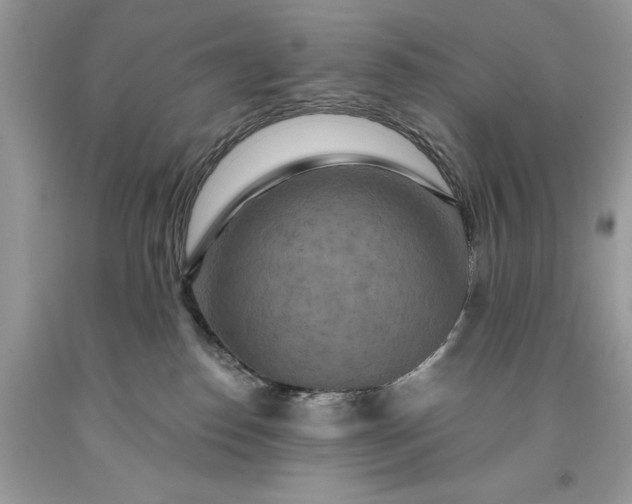 X0000093470186200710261051