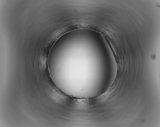 X0000093470188200710261051