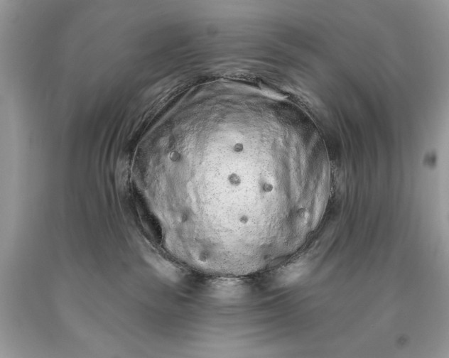 X0000093470189200710261051