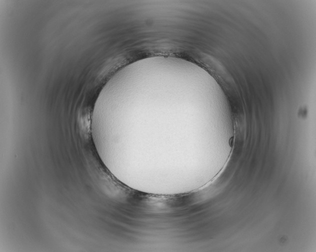 X0000093470190200710261051