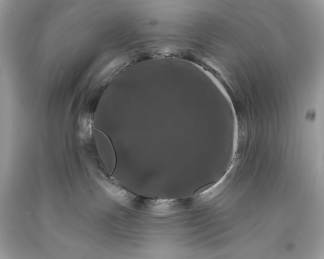 X0000093470191200710261051