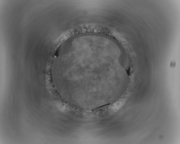 X0000093470192200710261051