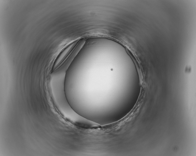 X0000093470193200710261050