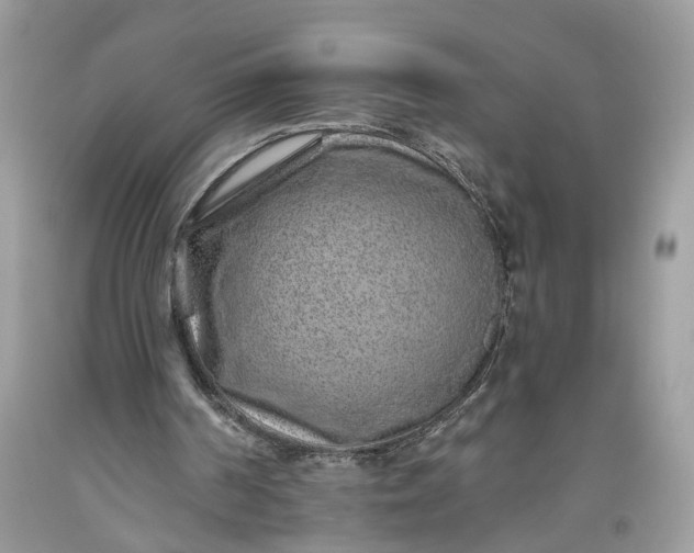 X0000093470194200710261050