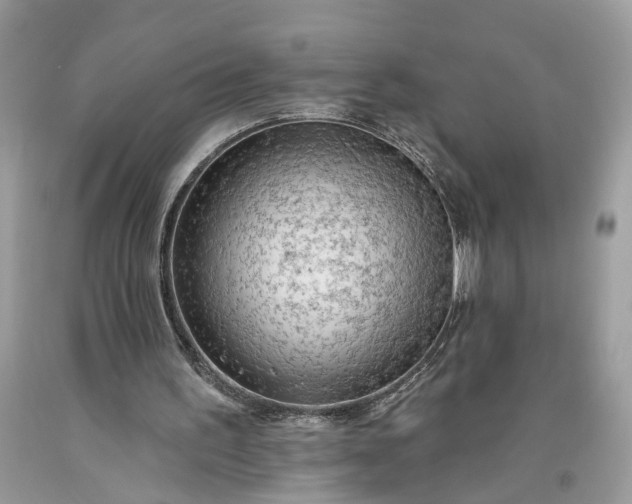 X0000093470195200710261050