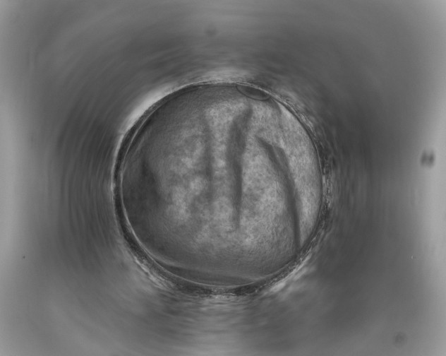 X0000093470196200710261050