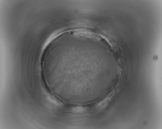 X0000093470198200710261050