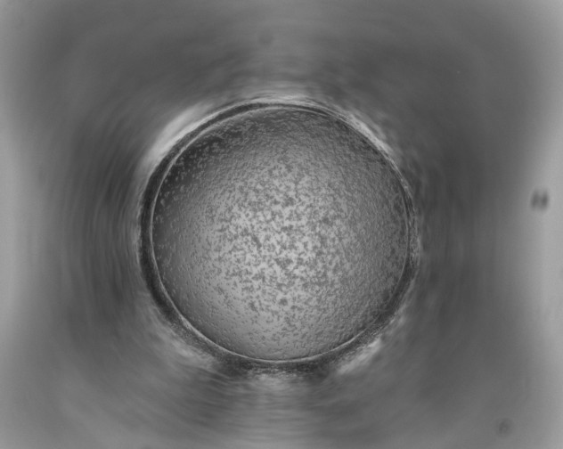 X0000093470199200710261050