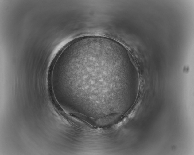 X0000093470200200710261050