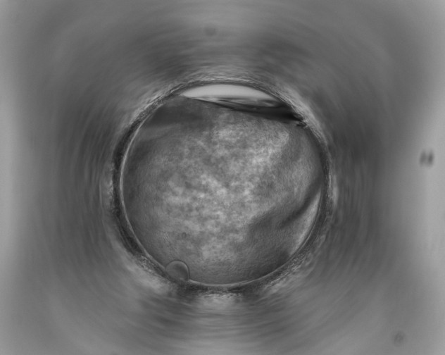 X0000093470202200710261050