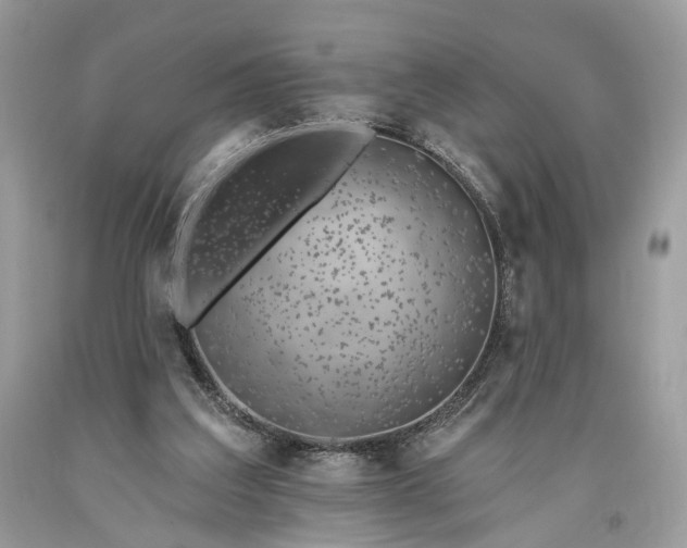 X0000093470203200710261050