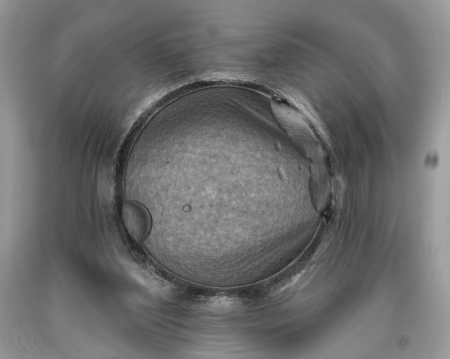 X0000093470204200710261050