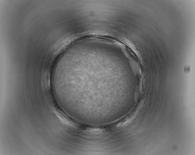 X0000093470205200710261050