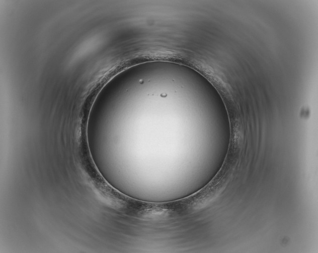 X0000093470206200710261050