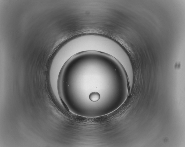 X0000093470207200710261050