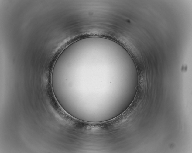 X0000093470208200710261050