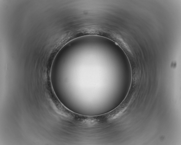 X0000093470213200710261050