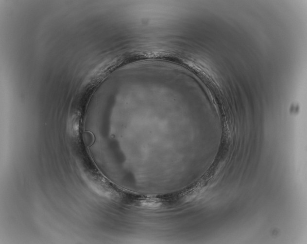 X0000093470214200710261050