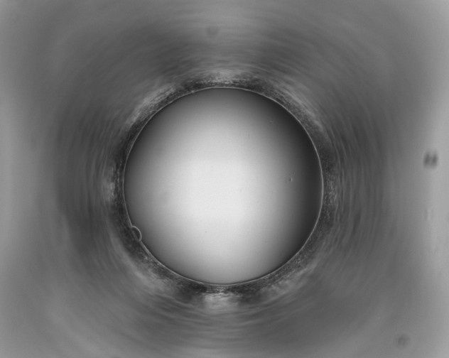 X0000093470216200710261050