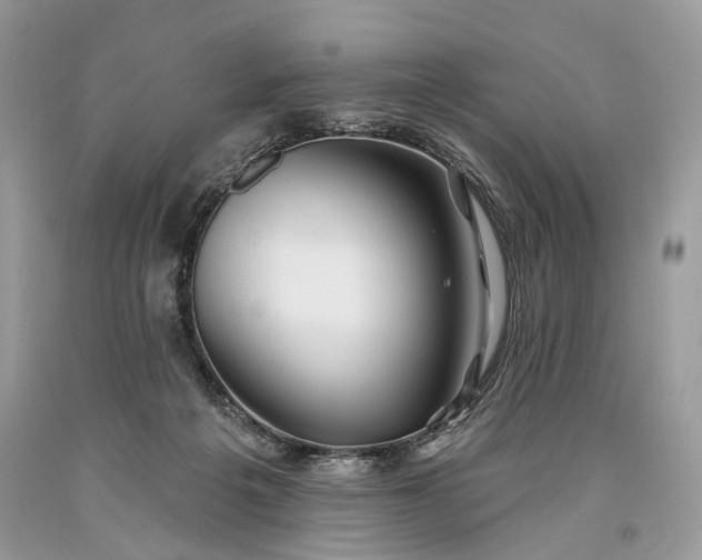 X0000093470217200710261050