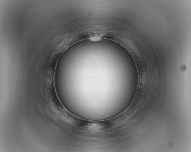 X0000093470218200710261050