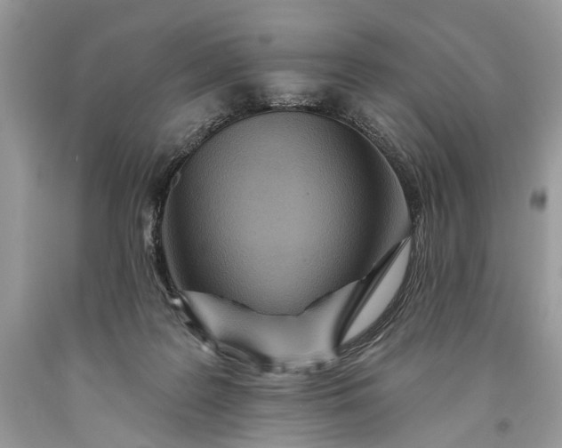 X0000093470219200710261050