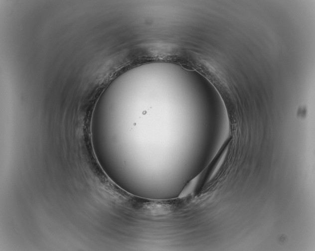 X0000093470221200710261050