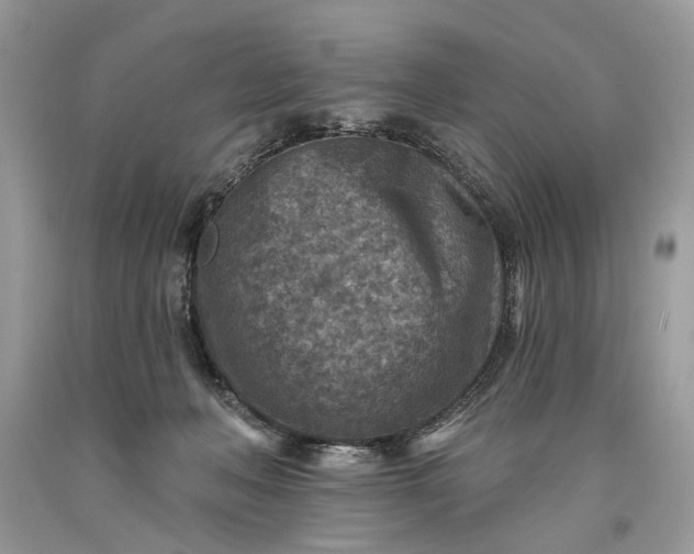 X0000093470222200710261050