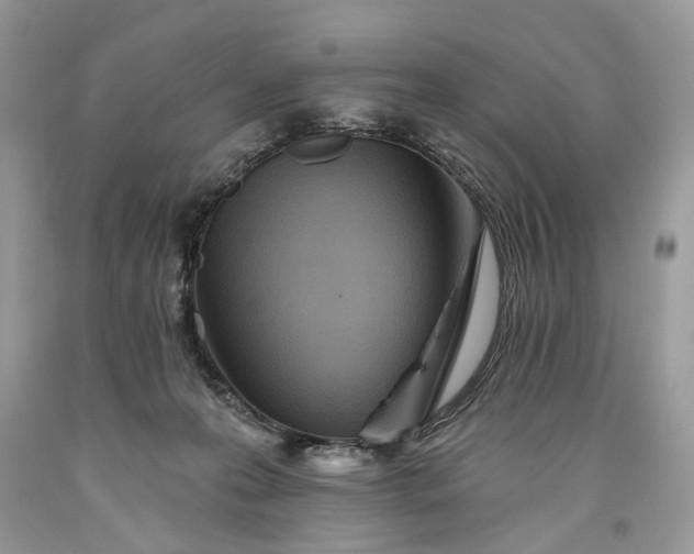 X0000093470223200710261050