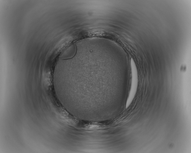 X0000093470224200710261050