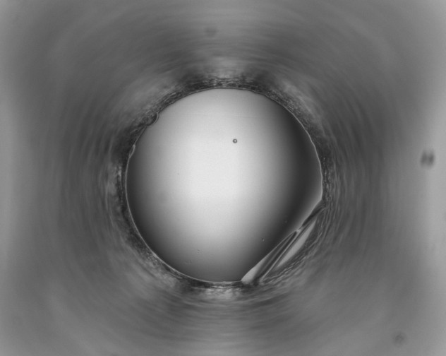 X0000093470225200710261050