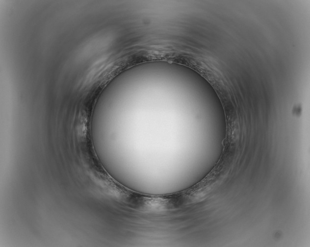 X0000093470226200710261050