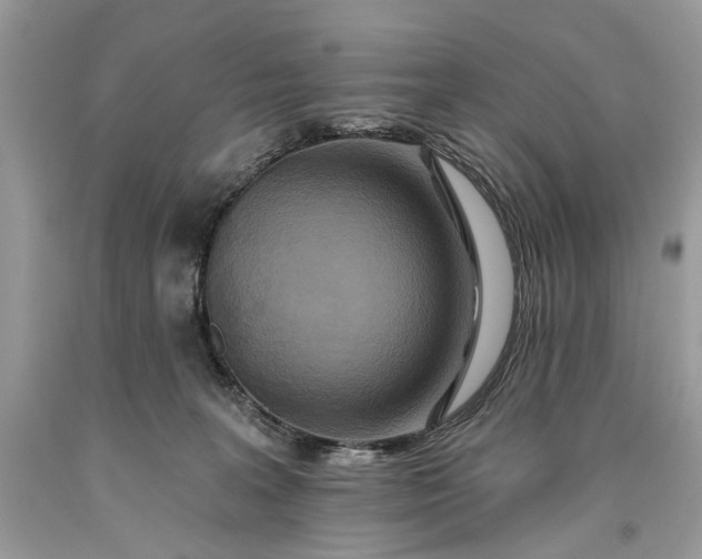 X0000093470227200710261050