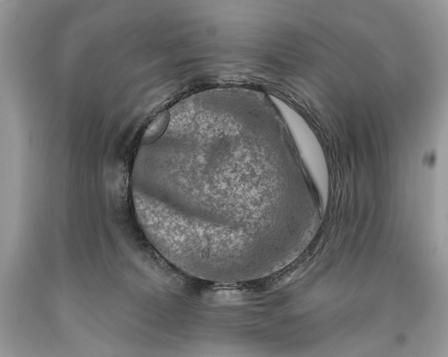 X0000093470228200710261050