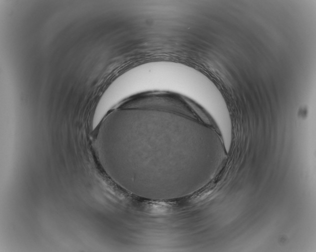 X0000093470229200710261050